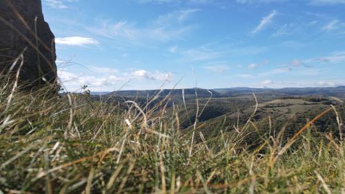 DJI_1780.JPG